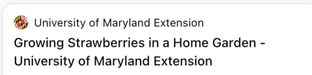 ChatGPT Search citation preview identifies a University of Maryland Extension page about growing strawberries.