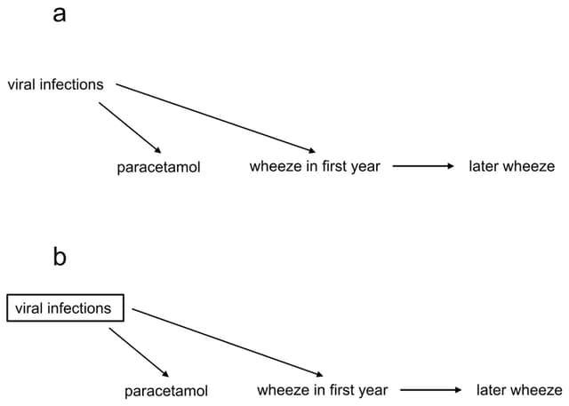 Causal diagram of viral infections affecting paracetamol use and wheeze in the first year, which leads to later wheeze; a second panel shows the infections variable boxed in the adjusted graph.