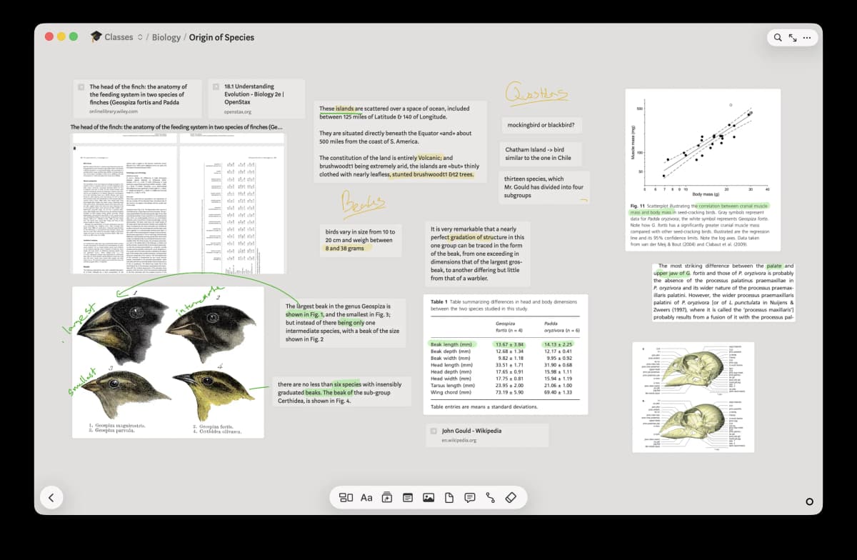 Allume, formerly Muse, showing a nested research board with linked source material, excerpt cards, and notes.
