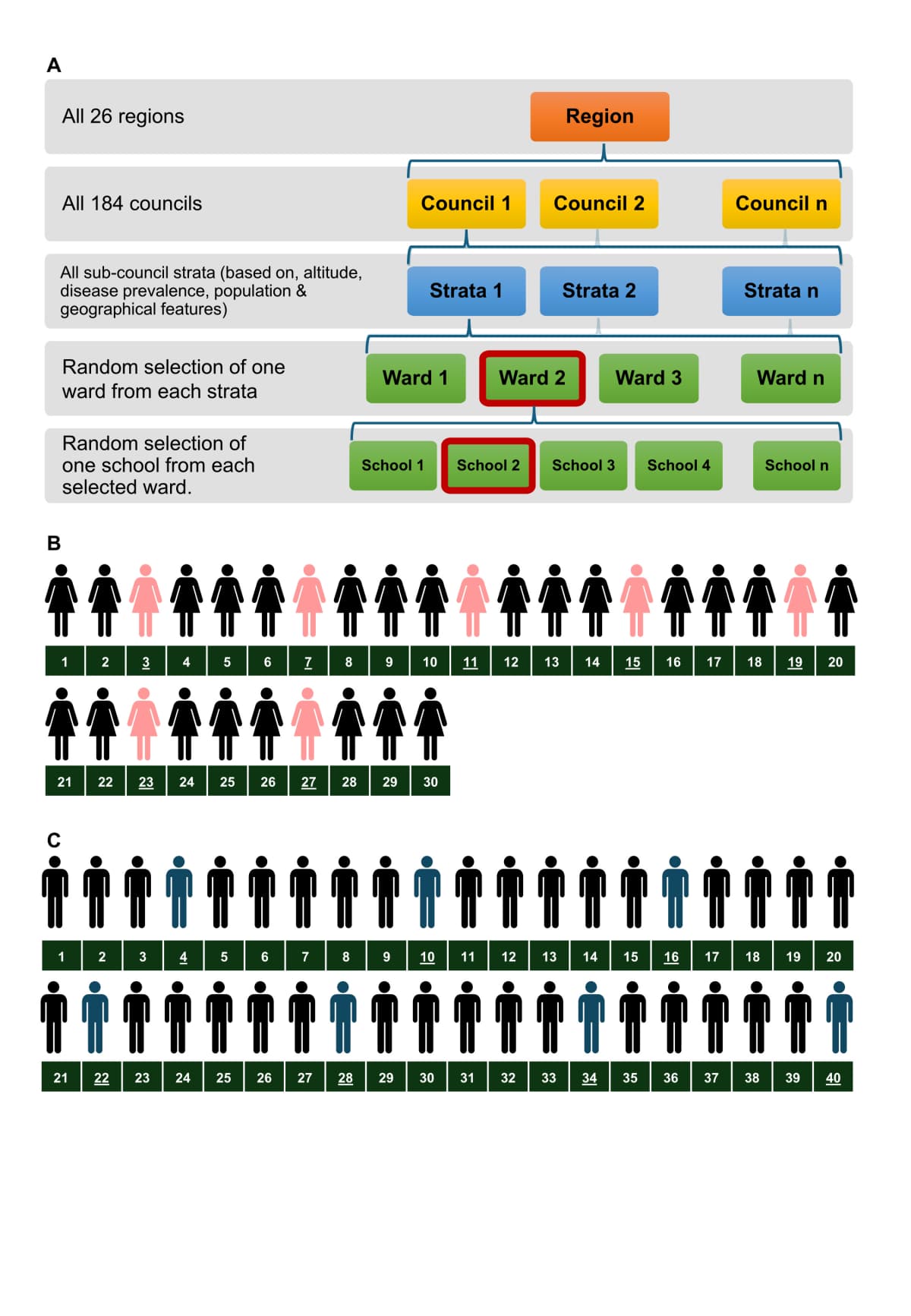 Published multistage malaria-survey diagram showing selection from regions to councils, strata, wards, schools, and schoolchildren.