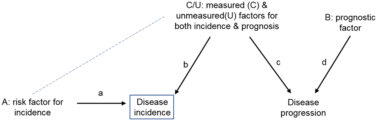 Published directed acyclic graph showing disease incidence as a collider between a risk factor and other causes, with the induced association shown by a dashed path.