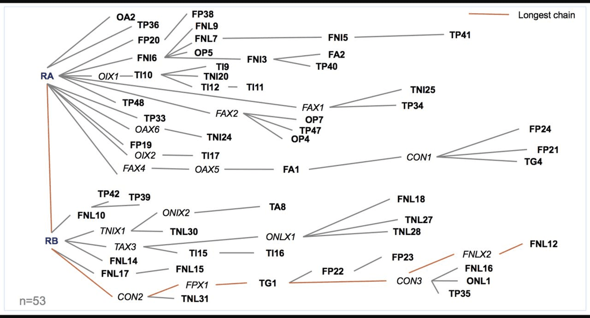 A published participant recruitment network with branching links and an orange line marking the longest chain
