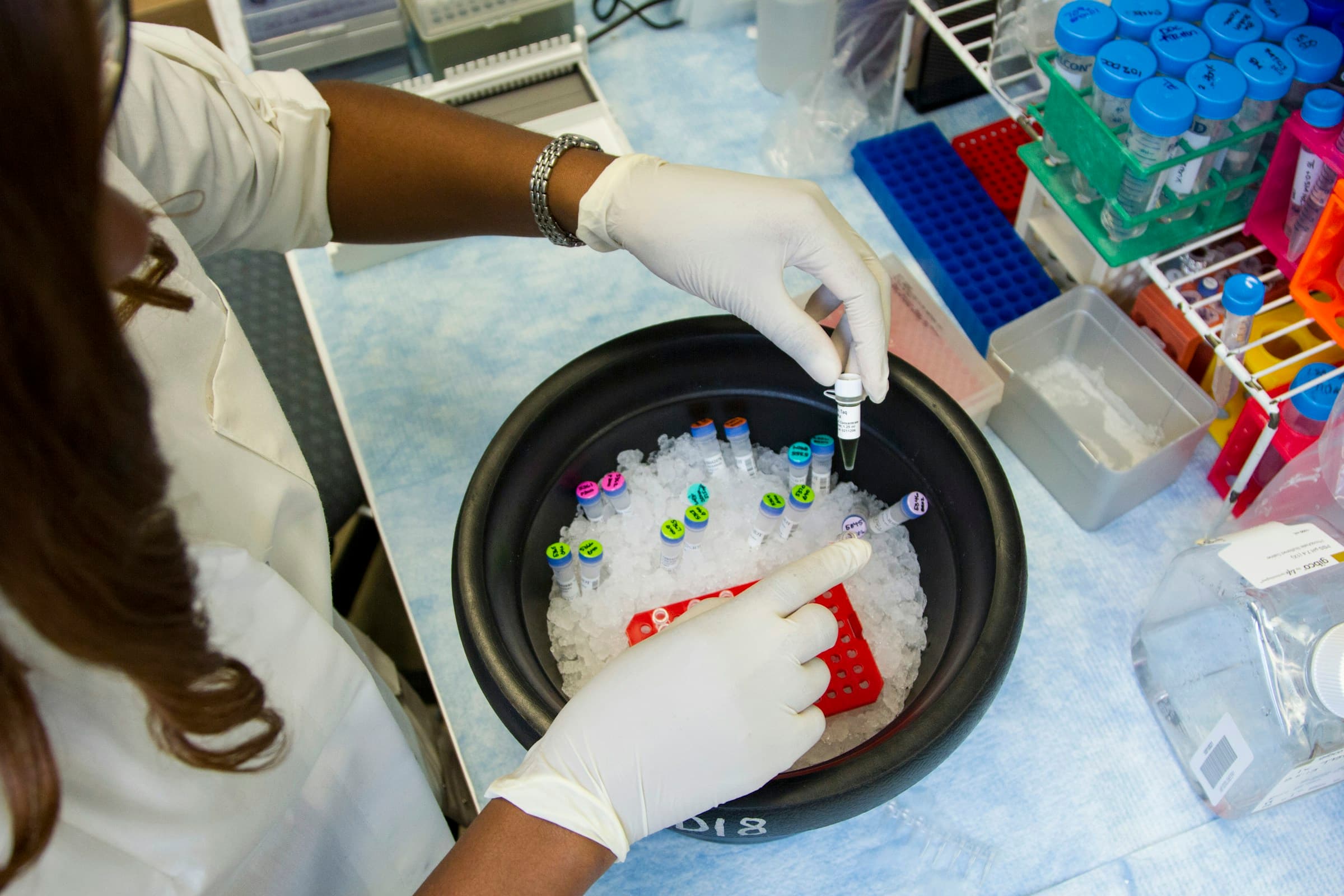 A lab researcher handles labeled samples from a chilled container.