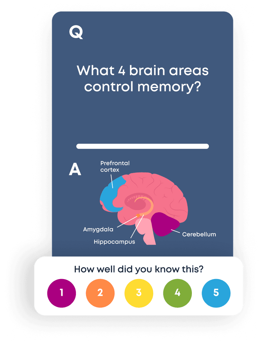 Brainscape flashcard showing a revealed answer and five confidence-rating buttons.