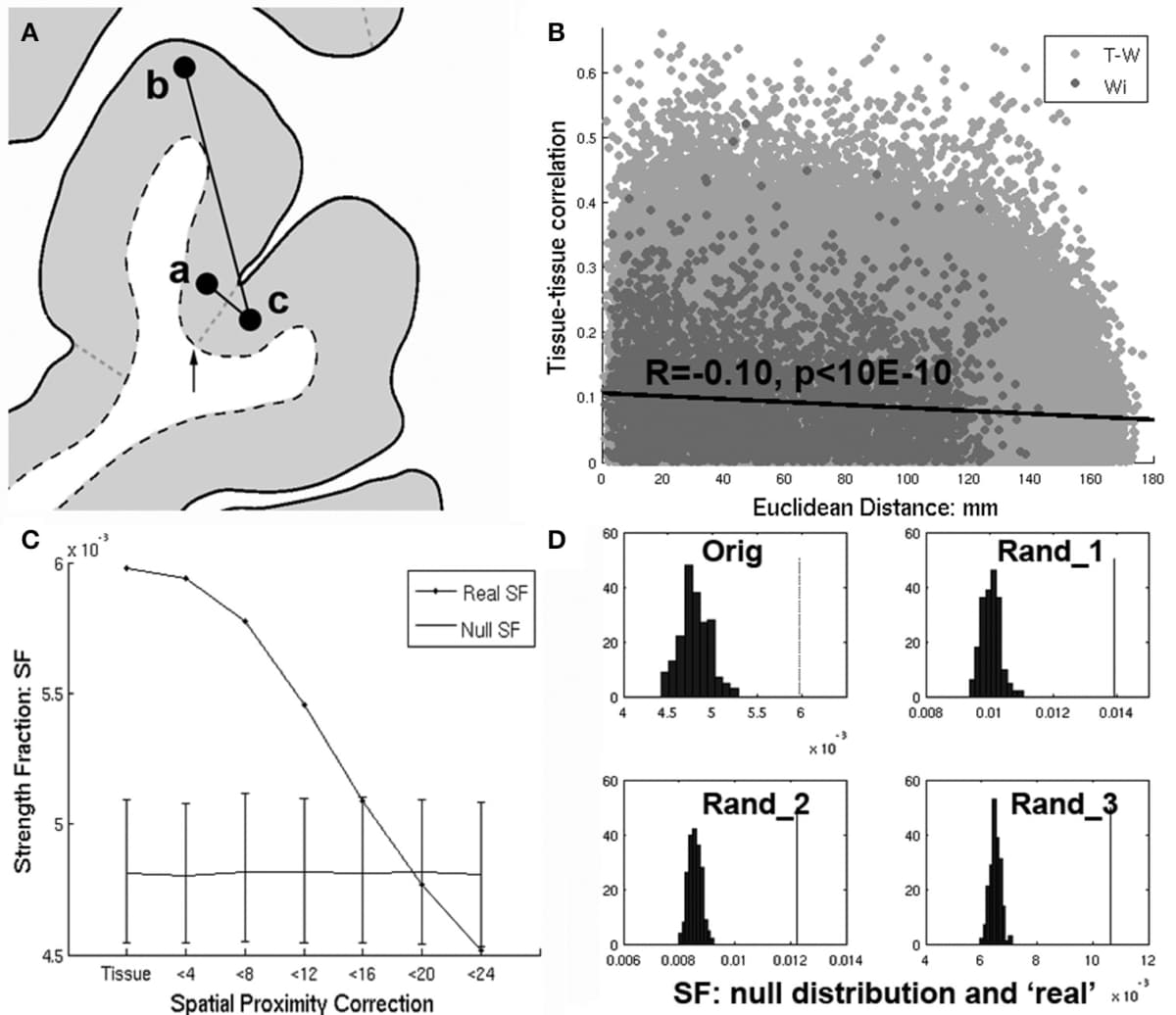 Four-panel Figure 1 from a commentary: a tissue-class correction diagram, a correlation-versus-distance plot, a proximity-correction curve, and null-distribution plots.