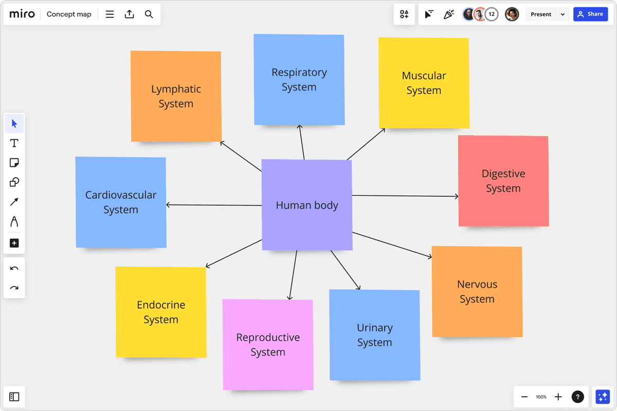 Miro concept-map canvas with Human body connected by arrows to the respiratory, muscular, digestive, and other organ systems.