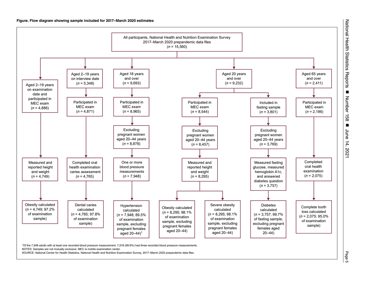 NCHS NHANES report page 5 shows branching age, examination, exclusion, and measurement rules for each cross-sectional analysis sample.
