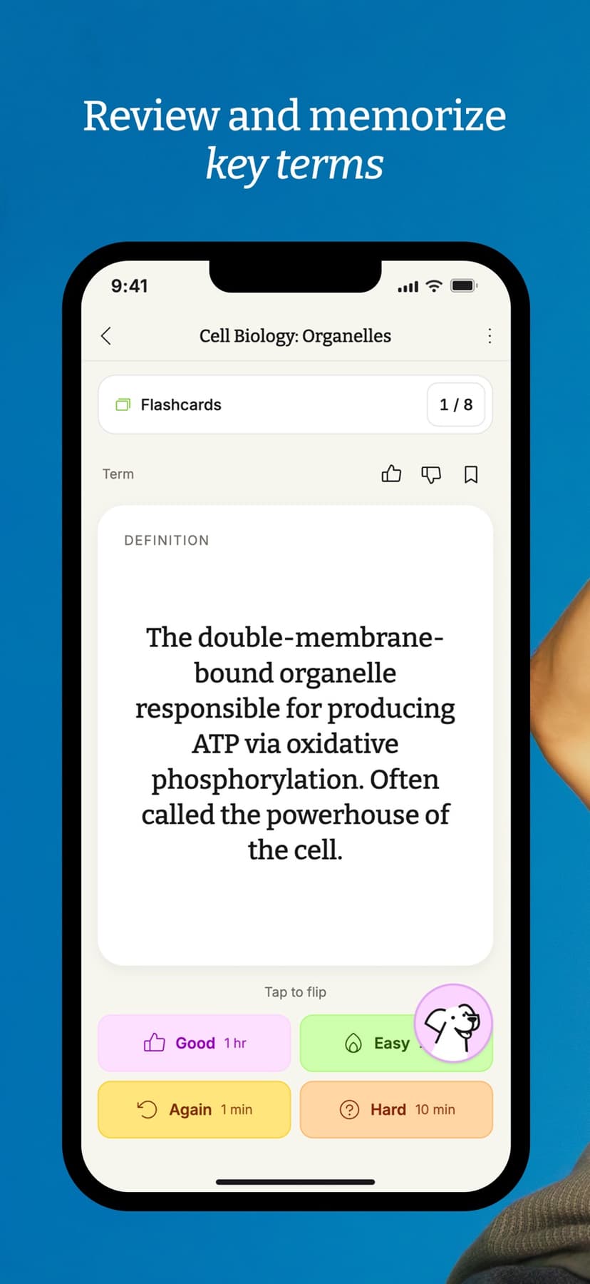 StudyFetch App Store preview showing a Cell Biology flashcard with a definition, flip action, and spaced review interval choices.