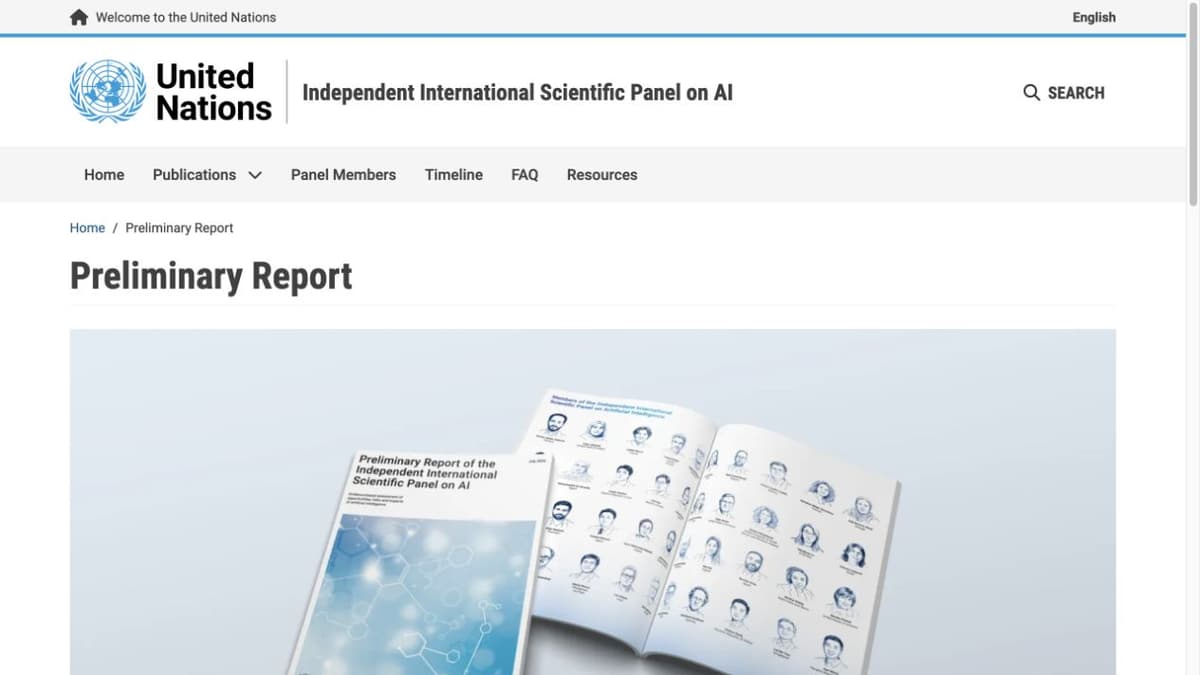 Official UN panel Preliminary Report page and report cover mockup.