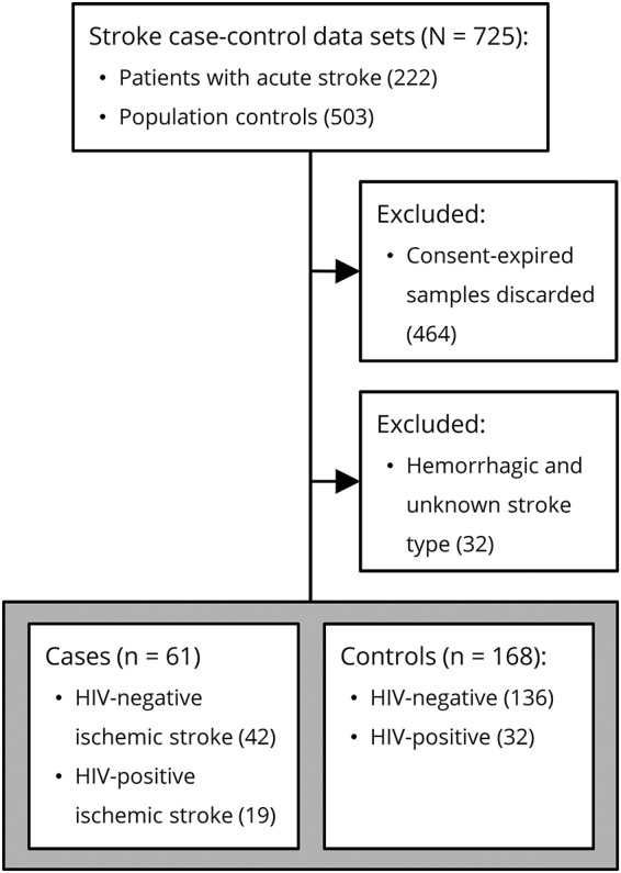 Flow diagram of 725 HIV/stroke case-control data sets: 464 consent-expired samples and 32 hemorrhagic or unknown stroke types are excluded, leaving 61 ischemic-stroke cases and 168 controls, each split by HIV status.