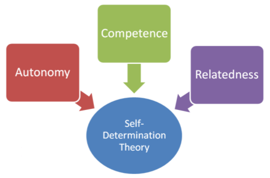 Self-Determination Theory diagram placing autonomy, competence, and relatedness around the theory.
