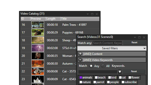 Fast Video Cataloger shows a video catalog beside a search panel with keyword filters.